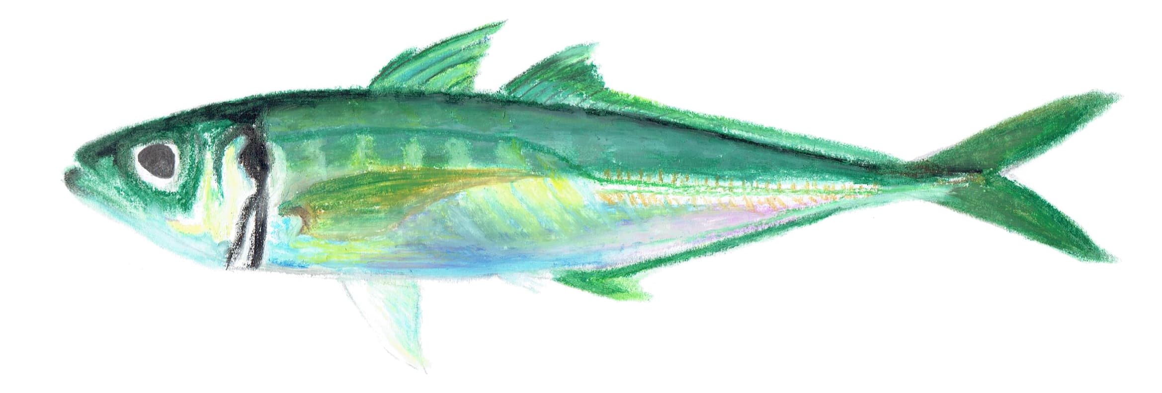 2026年も宜しくお願いいたします!